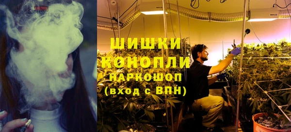 мдпв Бронницы