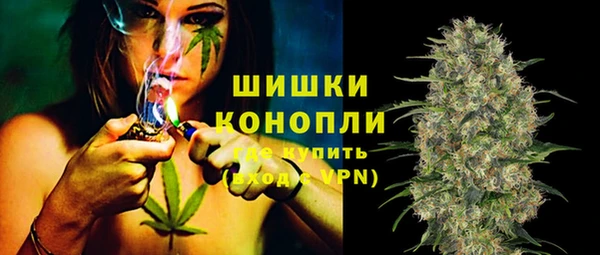 мдпв Бронницы
